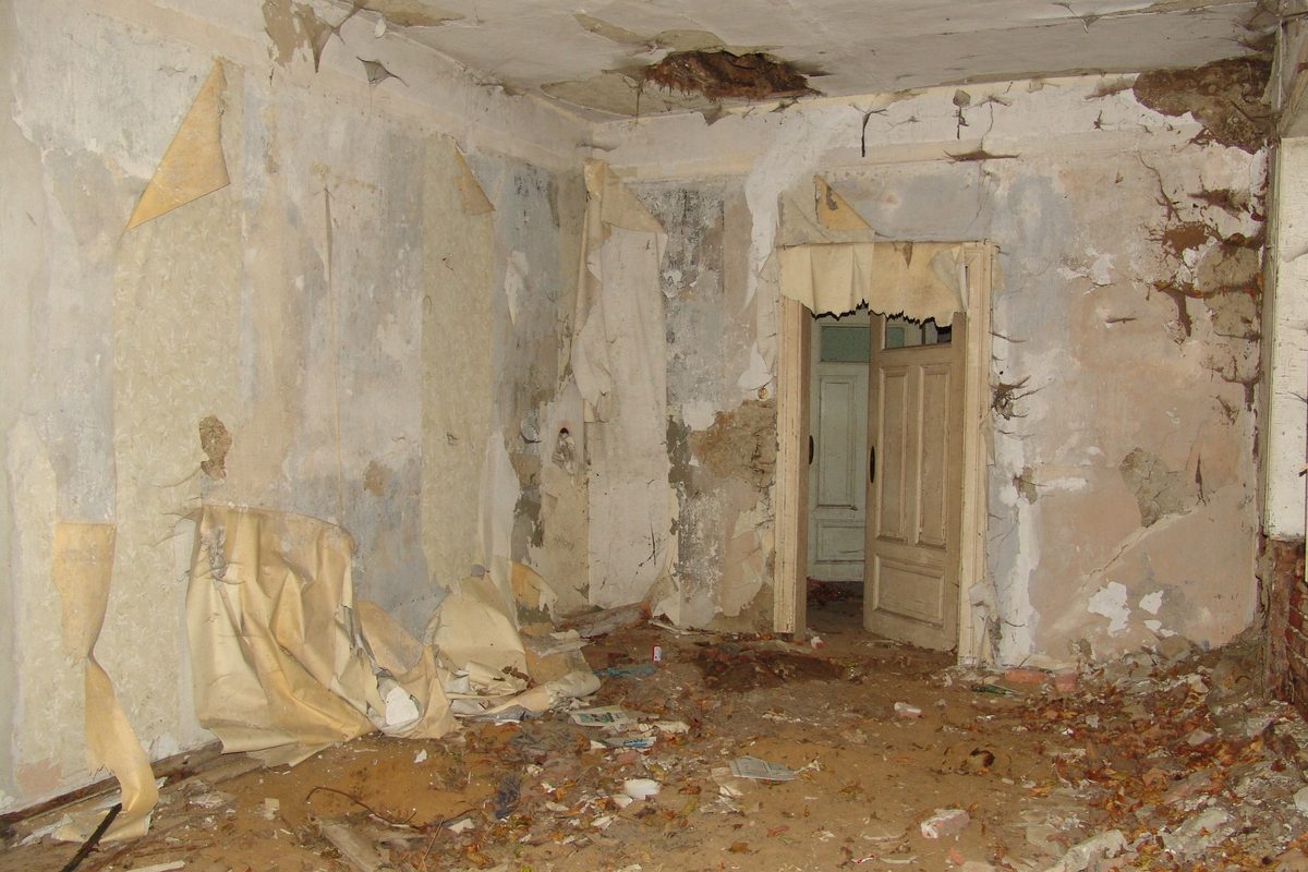 Flooded basement, waterlogged materials